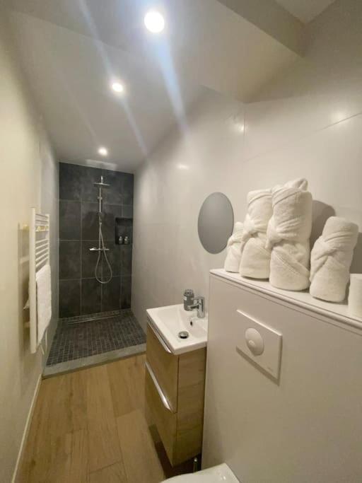 Appartement T2 Spacieux Et Equipe Mions Eksteriør bilde